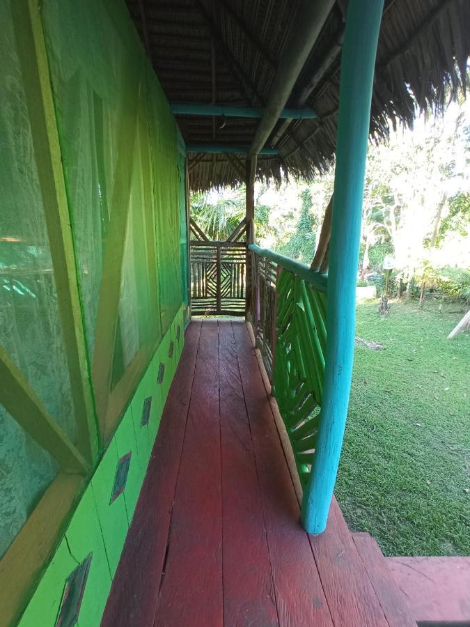 Hostal Buho Amazonas Tours Leticia Exteriör bild