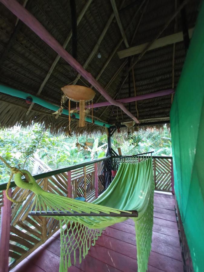 Hostal Buho Amazonas Tours Leticia Exteriör bild