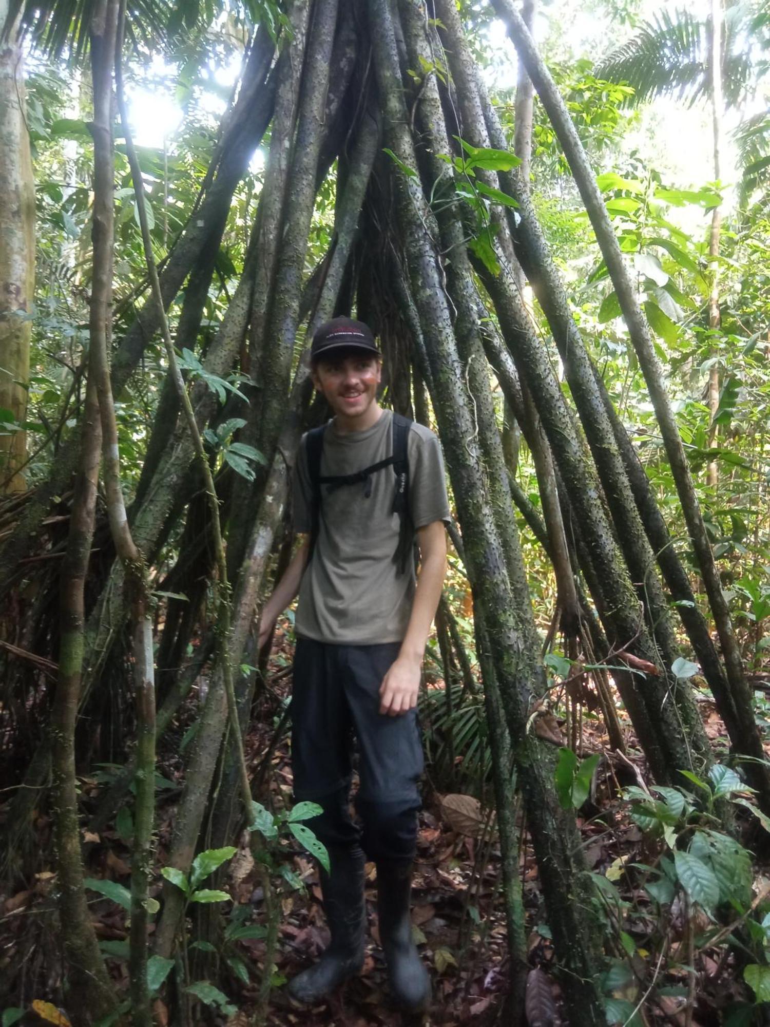 Hostal Buho Amazonas Tours Leticia Exteriör bild